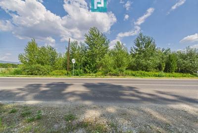 Teren extravilan de 5.219 mp în Geoagiu la șosea - 3