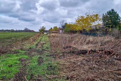 Teren intravilan, 1320 mp, la asfalt, in Balotesti - 2