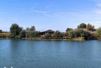 Teren de 63700 mp, în Borș - 8