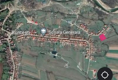 Teren de 2383 mp, în Buntești - 4