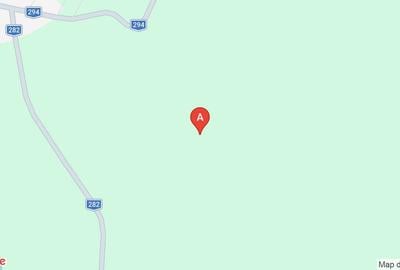 Teren agricol extravilan de 500000 mp, în Dângeni - 1