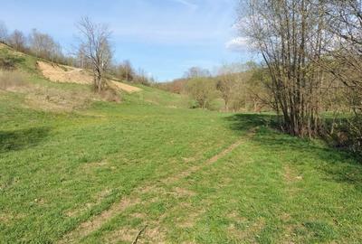 Spațiu comercial, în Șinca - 4