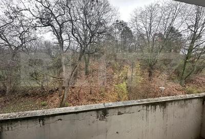 Apartament de inchiriat, 2 camere, zona Pijamaua - 6