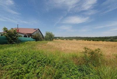 Teren situat in Balotesti,langa padure,acces drum pietruit, 28000 euro - 2