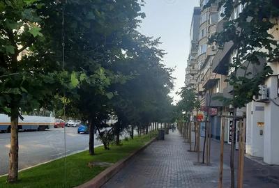 Unirii, Bd.Coposu, Cofetaria Agapitos, bloc 1990, renovat, mobila noua, design chic - 8