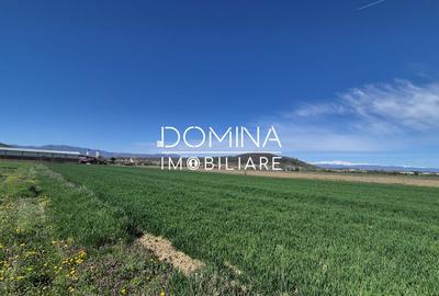 Teren Construcții intravilan de 520 mp, în Bălești - 3