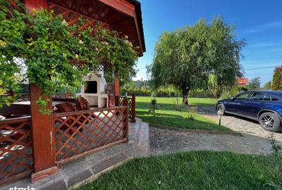 Vila 5 camere, 5 bai. 1200 mp curte, 230 utili.Situata in Buziaș/Timiș - 8