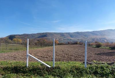 Teren de 4316 mp, în Fârdea - 3