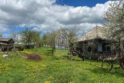 Teren de 4872 mp, în Antoceni - 4