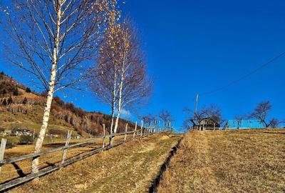 Teren de vânzare în sat Măgura/ Brasov– loc pentru familie, liniște și suflet - 25