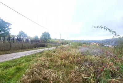 Teren de 1500 mp, în Bârnova - 6