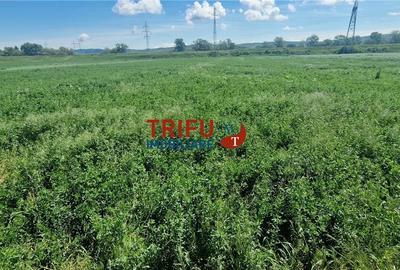 Teren de 5000 mp, în Central - 7