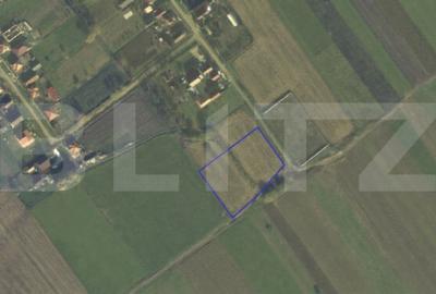 Teren de 4400 mp, în Vetiș - 1