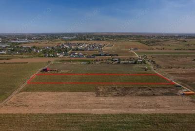 Adunatii Copaceni - Troitei | teren 6 525 mp | zona in dezvoltare - 9