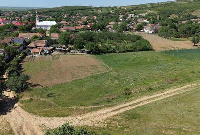 Teren de 928 mp, în Covăsinț - 3