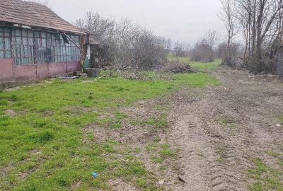 Teren de 3000 mp, în Fierbinți-Târg - 8