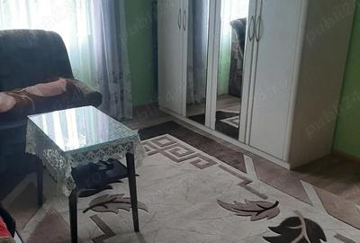 Casă cu 3 camere cu Teren 1930 Mp în Tulgheș - 2