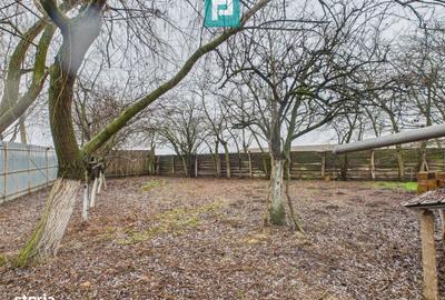 Casă cu 3 camere în Sintea Mică - 2