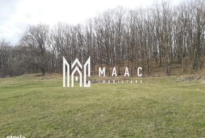 Spațiu comercial, în Râu Sadului - 9