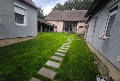 Casă cu 3 camere cu Teren 3331 Mp în Răhău - 1