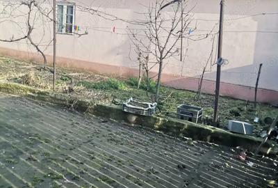 Casă cu 3 camere în Secusigiu - 1