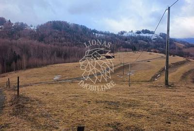 Spațiu comercial, în Vișagu - 13