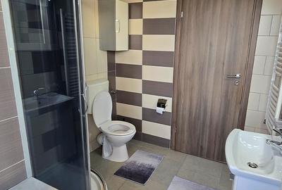 APARTAMENT 2 CAMERE PIATA SUDULUI, DELTA VACARESTI, OLTENITEI, COMPLET MOBILAT - 16