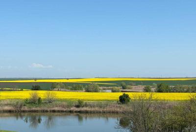Teren de 1926 mp, în Gostilele - 3