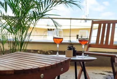 Sala Palatului-vanzare 2 spatii cazare AirBnb si Booking