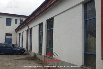 Hale+birouri in Campina--655mp--400.000e - 1