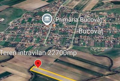 Bucovat - Lot Intravilan 2.27 Ha, PUZ inceput, Rezidentia... - 10