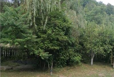 Casa de vacanta in Arges Casa de vacanta in Arges - 2