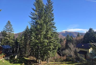 Casă cu 2 camere cu Teren 150 Mp în Furnica - 15