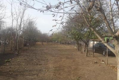 Casă cu 4 camere în Goicea - 2
