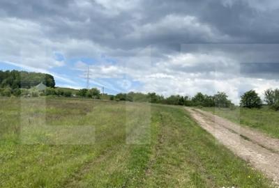 Teren de 500 mp, în Simeria - 2