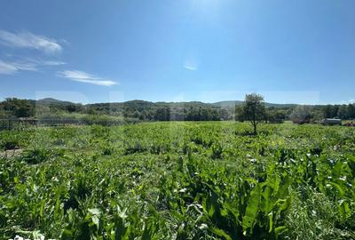 Casă cu 5 camere cu Teren 3000 Mp în Homorod - 14