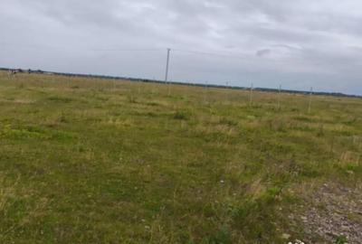 Teren de 1875 mp, în Frătăuții Vechi - 3