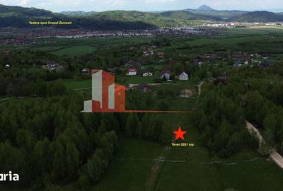 Teren de 5261 mp, în Tohănița - 3