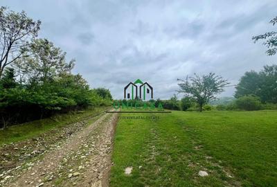 Teren de 3507 mp, în Călimănești - 1