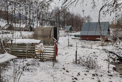 Cabana 3 camere + 1,7 ha teren , Spre Campul Cetatii - 17