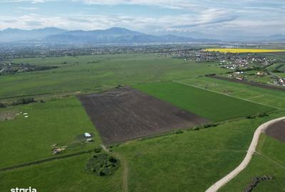 Teren de 8600 mp, în Stupini - 4