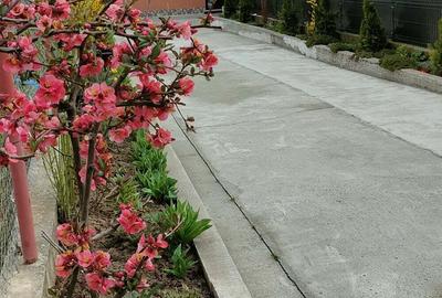 Casă cu 6 camere în Negreni - 5