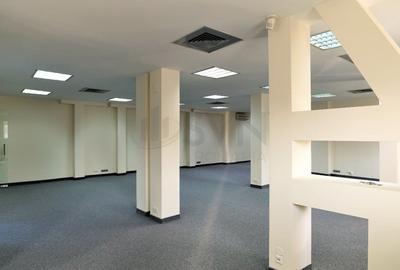 Casă individuală cu 10 camere cu Canalizare în Dorobanți - 13