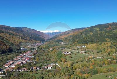 Teren de vanzare in Leresti - ideal pentru casa sau pensiune la munte - 4