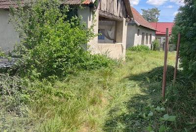 Casă cu 2 camere în Cheșa - 4