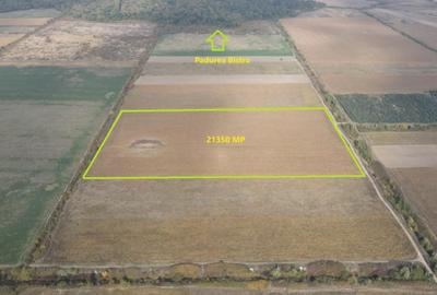 Teren Construcții intravilan de 21350 mp, în Moșnița Nouă - 4