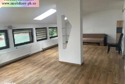 Vila P+1 de inchiriat: Central(str.Valeni) Vila P+1 de inchiriat: Central(str.Valeni) - 15