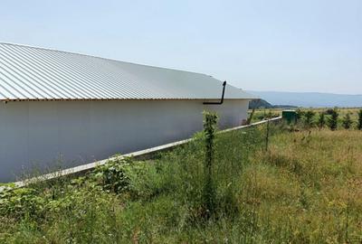 Teren extravilan Cluj, 1100 mp, apa si curent la limita proprietatii - 8