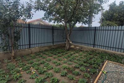 Valu lui Traian -casa 3 camere cu teren 300 mp -gaze la poarta -79900 Euro neg - 37