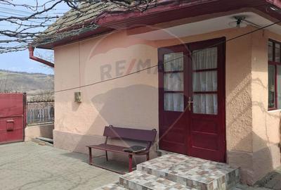 Casă cu 3 camere cu Teren 773 Mp în Târnava - 9